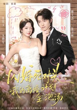 闪婚死对头，我的离婚计划全泡汤(全集)